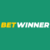 Betwinner Casino